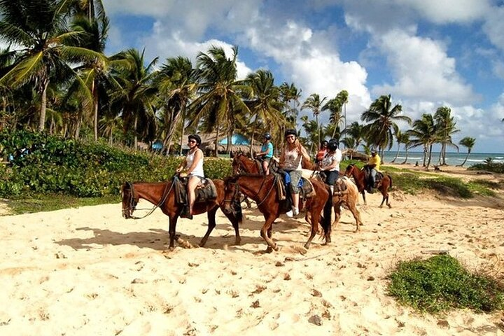 Horseback Riding at Macao Beach - Photo 1 of 12